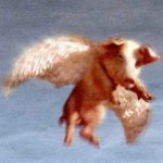Flying pig cropped_w